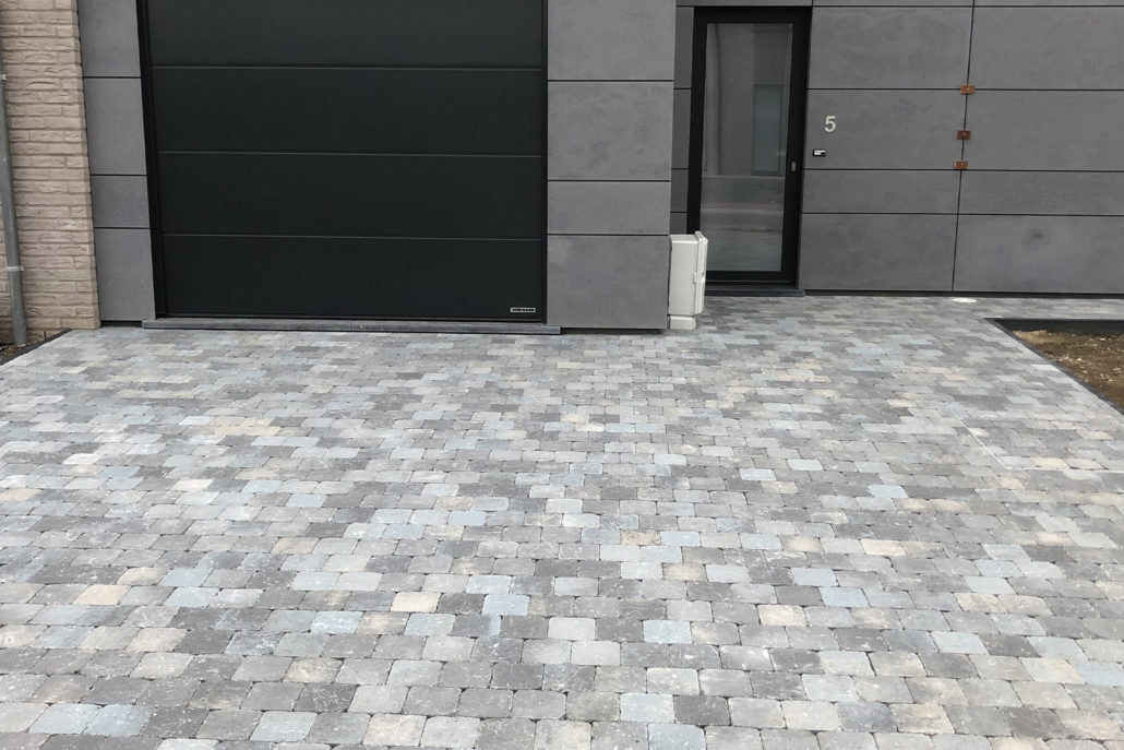 Sans titre-1_0002_IMG_1889